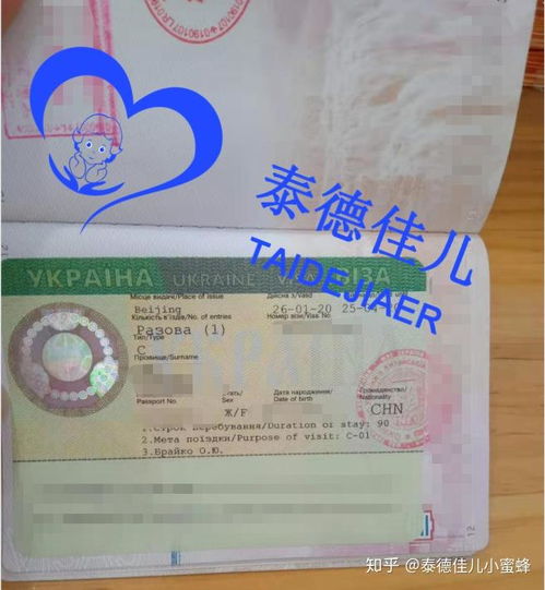 烏克蘭簽證辦理指南 試管醫療簽證、落地簽政策與代辦服務解析